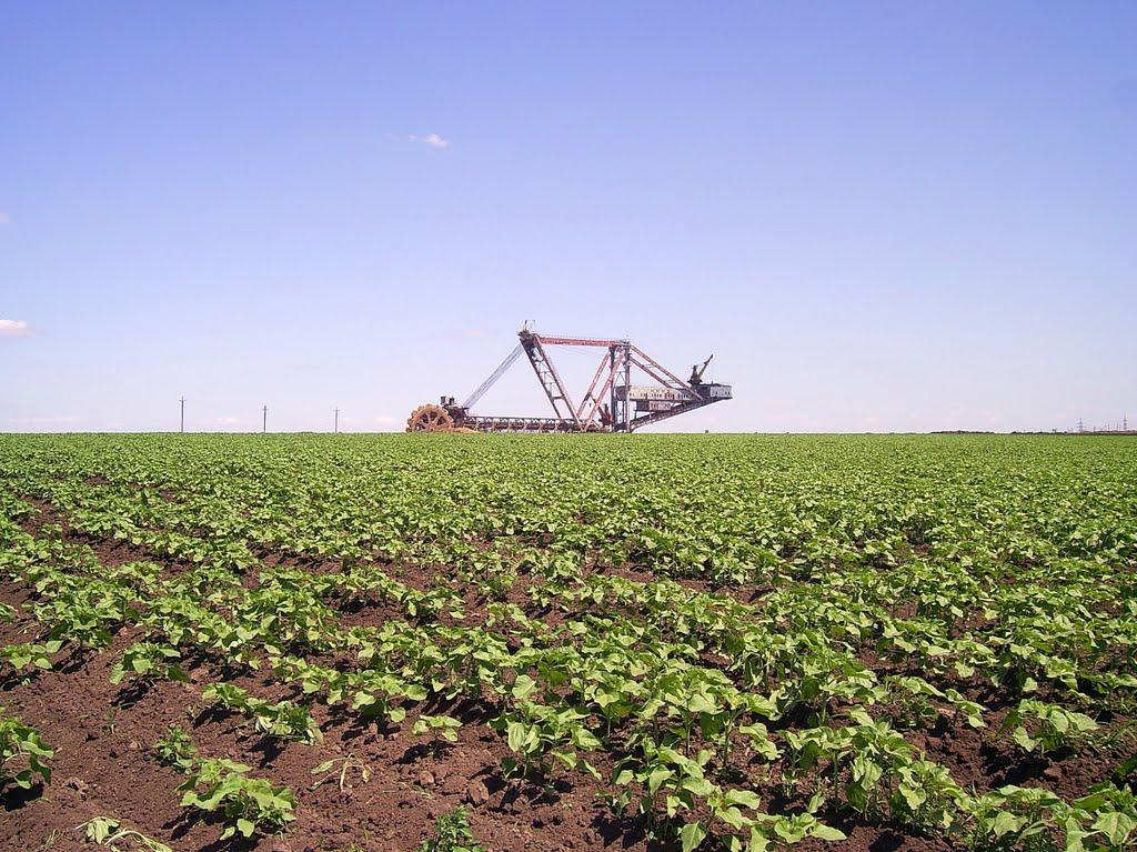 Гірницьке з panoramio.com - Гірницьке