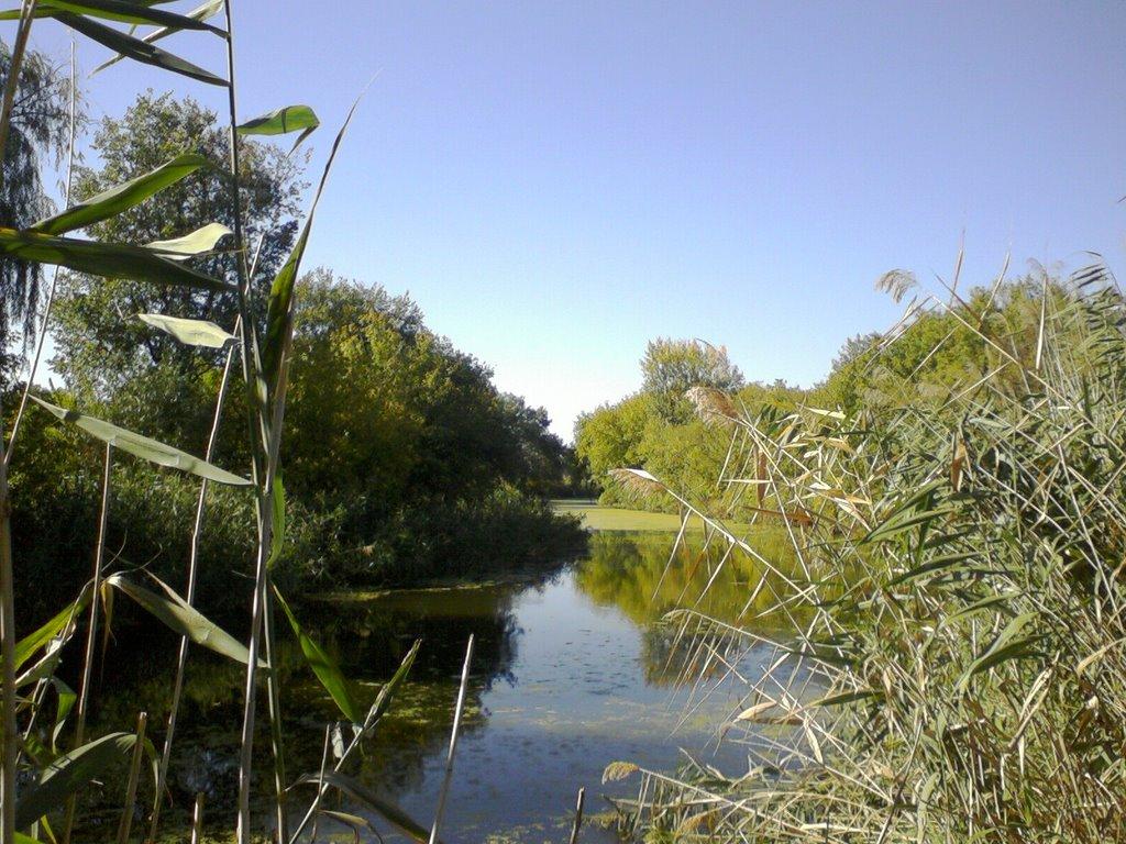 Краснодарський з panoramio.com - Краснодарський