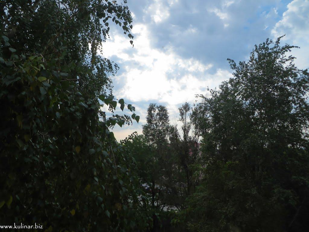 Токмак з panoramio.com - Токмак