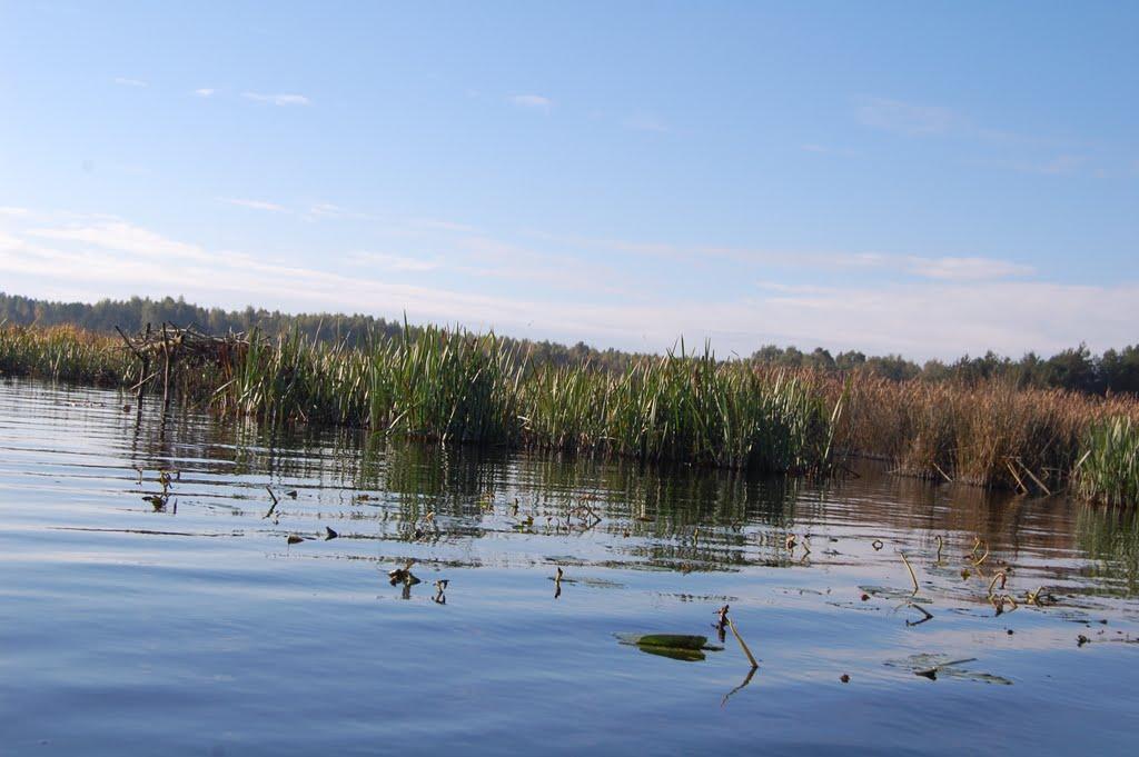Набережне з panoramio.com - Набережне