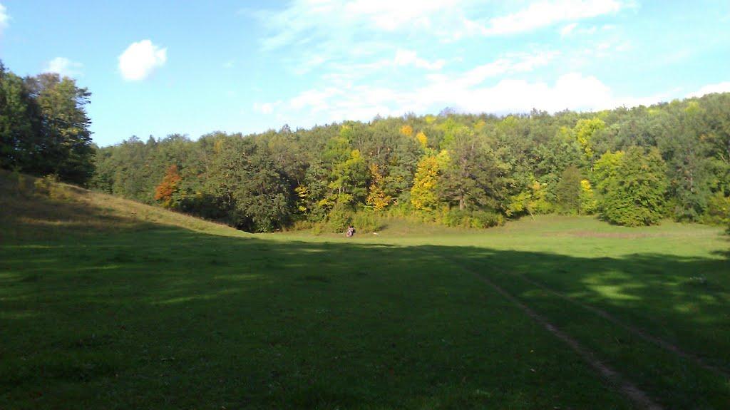 Рибальське з panoramio.com - Рибальське
