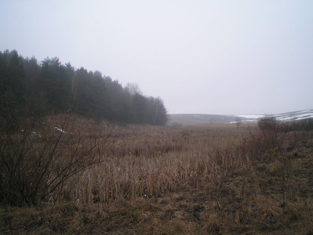 Махаринці з panoramio.com - Makharyntsi