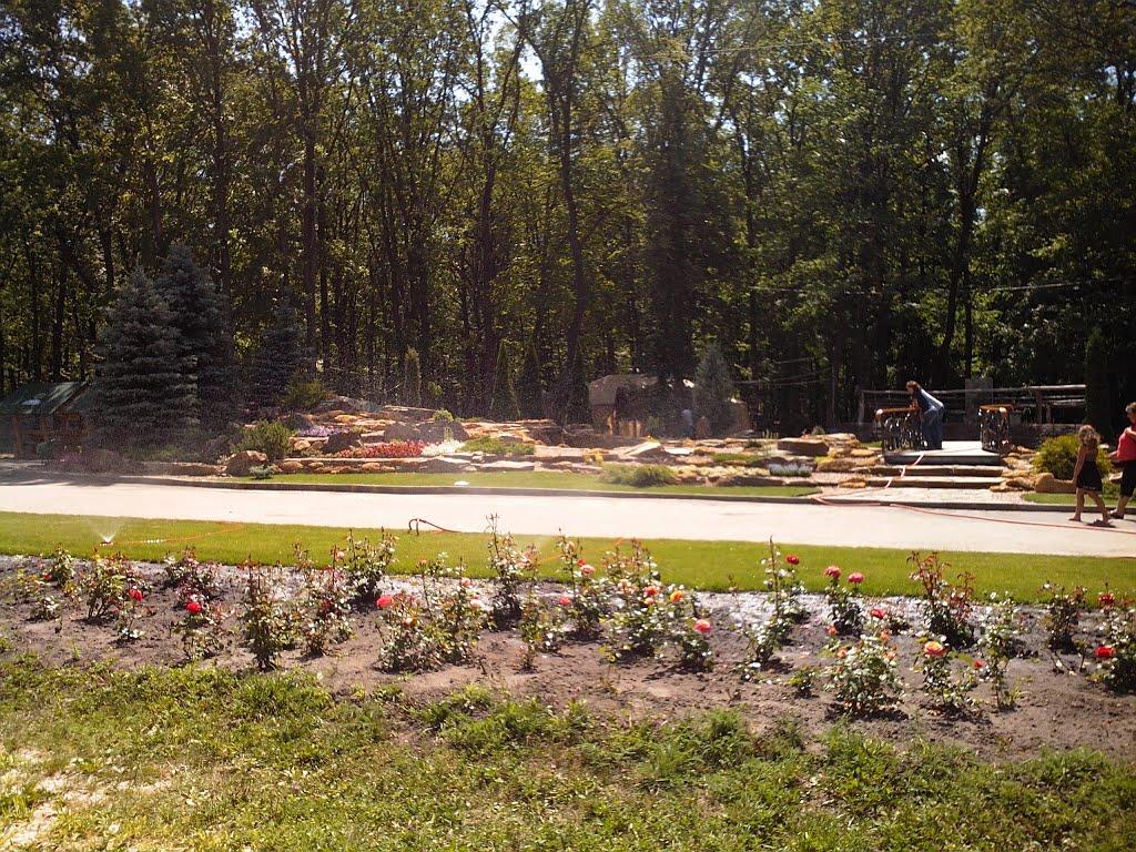 Лісне з panoramio.com