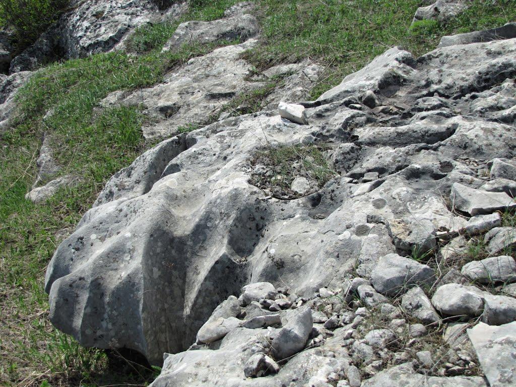 Пчолине з panoramio.com - Pcholyne