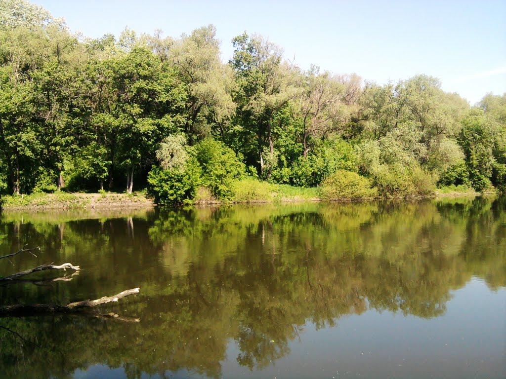 Дронівка з panoramio.com - Дроновка
