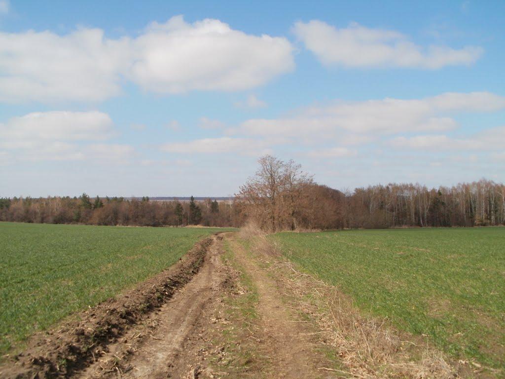 Млинки з panoramio.com - Млынки