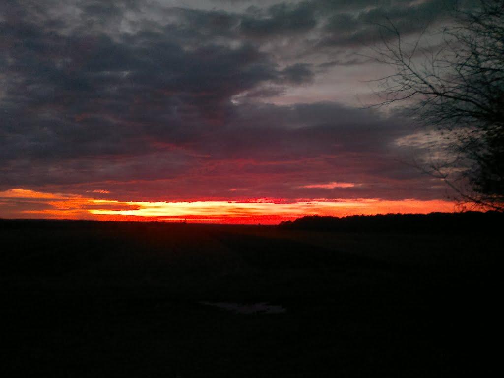 Ковиничі з panoramio.com - Ковиничі