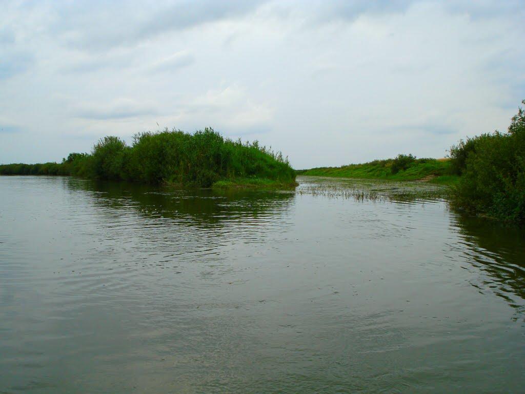 Навіз з panoramio.com - Навіз