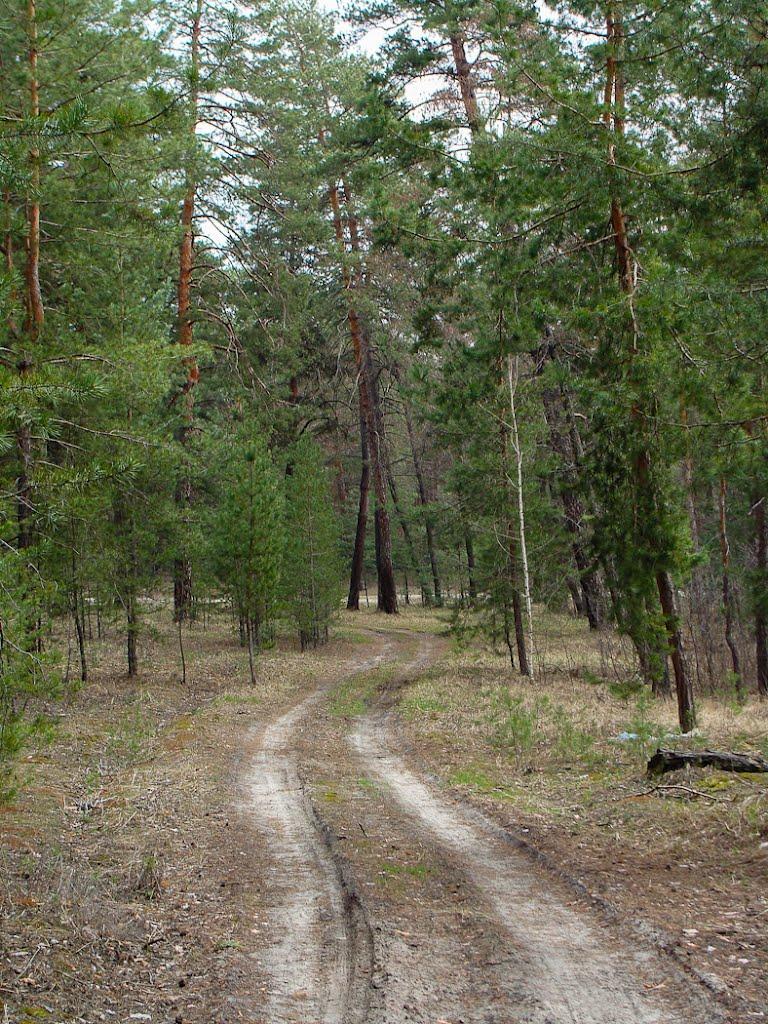 Ярова з panoramio.com - Ярова