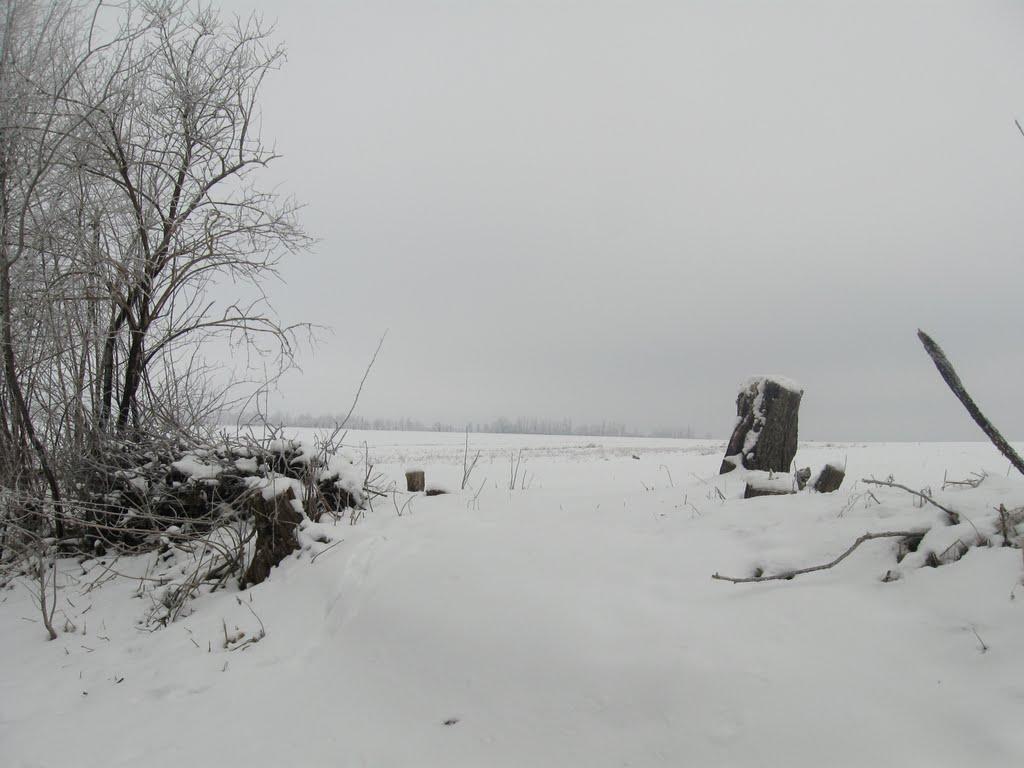 Криштопівка з panoramio.com - Криштопівка