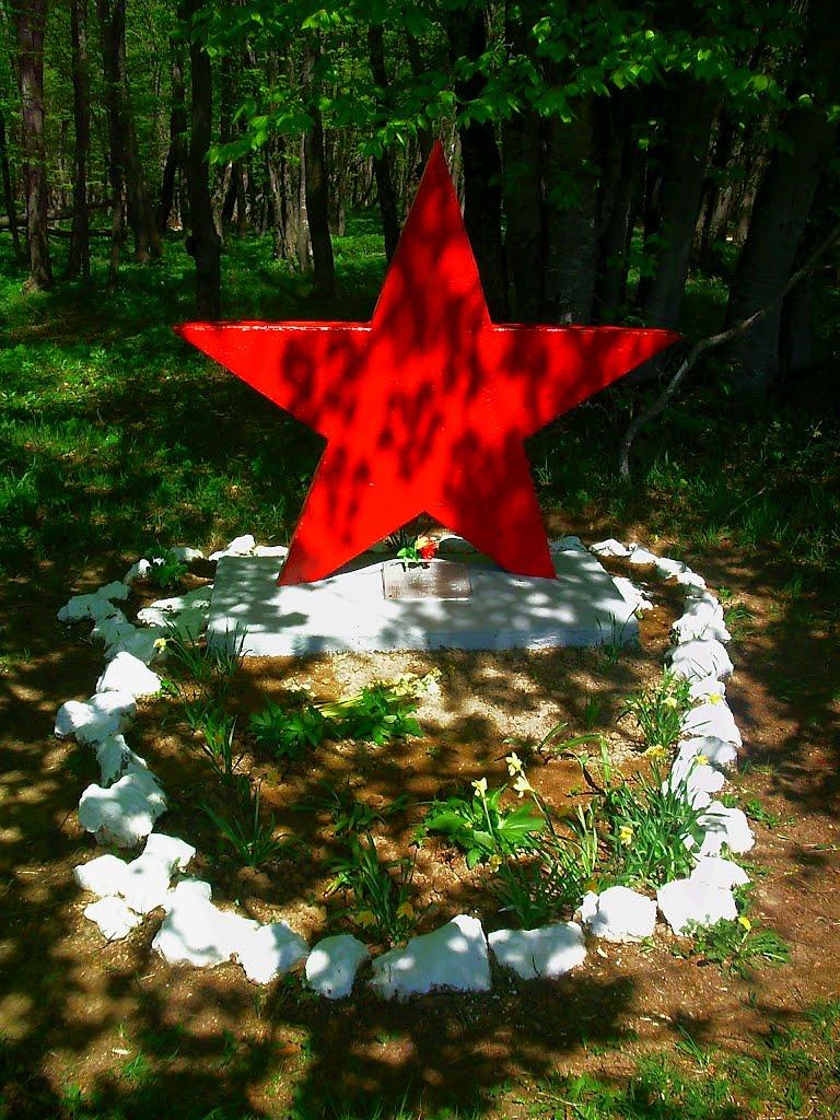 Чайковське з panoramio.com (ч.2) - Чайковское
