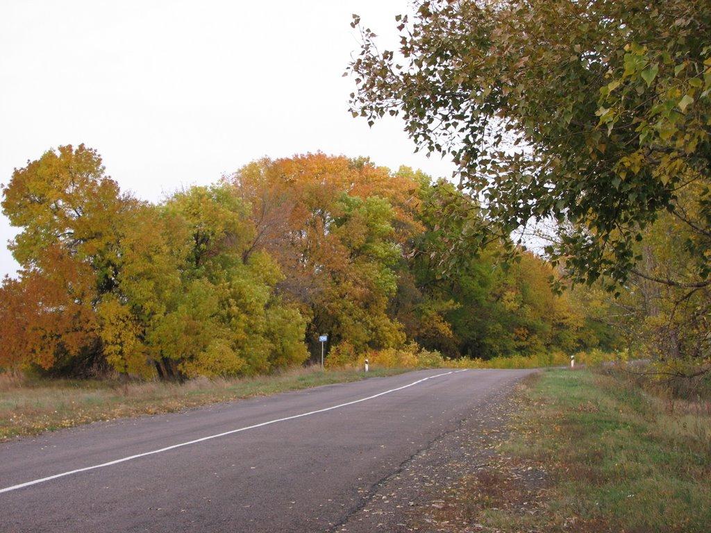 Дебальцеве з panoramio.com - Дебальцеве