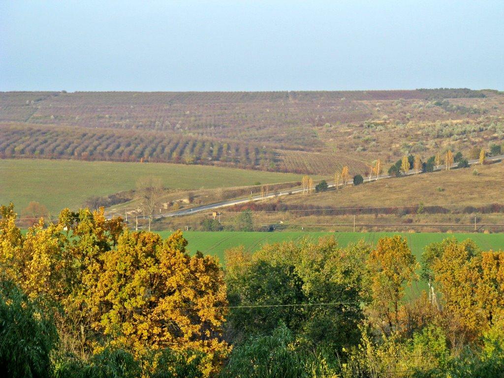 Кремінне з panoramio.com - Kreminne