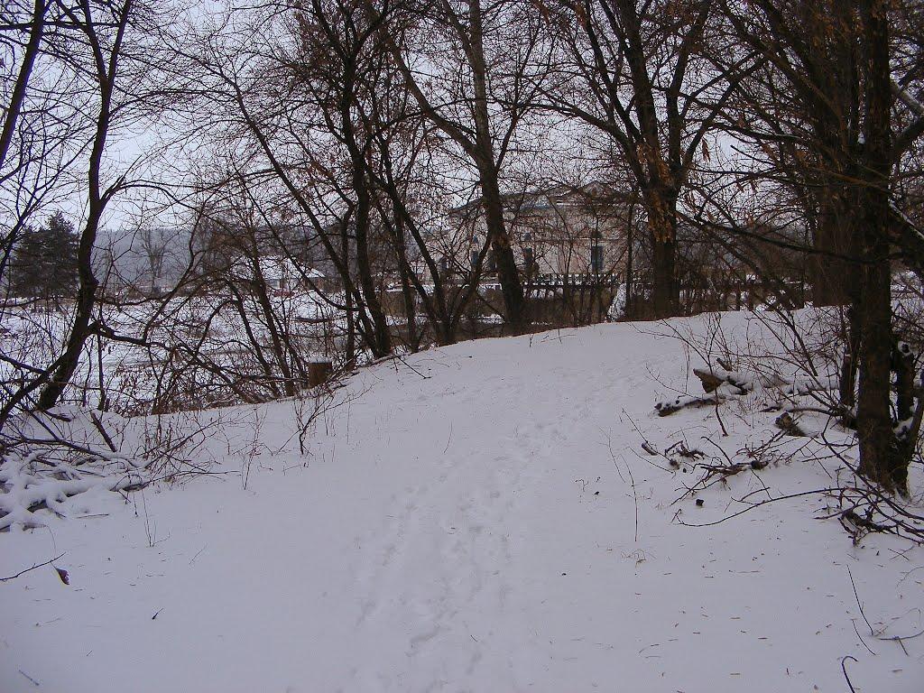 Шишаки з panoramio.com - Шишаки