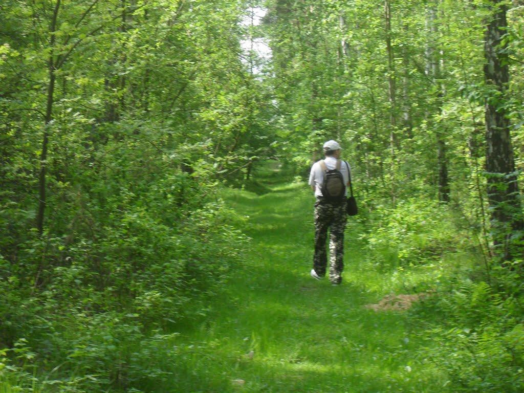 Клавдієво-Тарасове з panoramio.com - Klavdiyevo-Tarasove