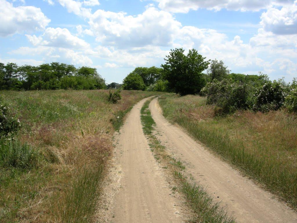 Галицинове з panoramio.com - Галициново