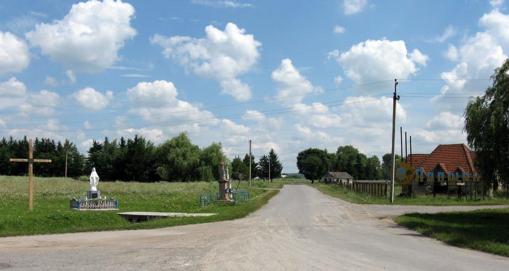 Лапшин з panoramio.com - Лапшин