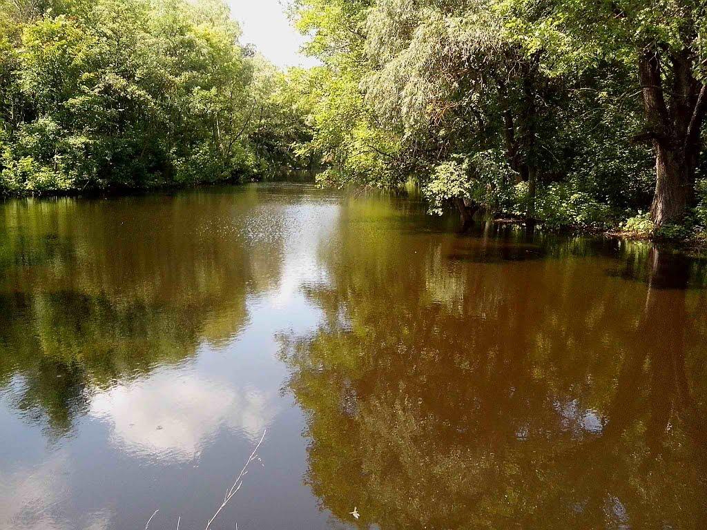 Хорішки з panoramio.com - Khorishky