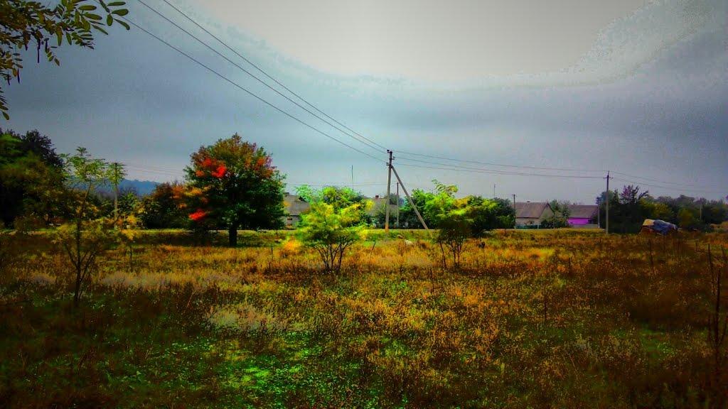 Пустельникове з panoramio.com - Пустельникове