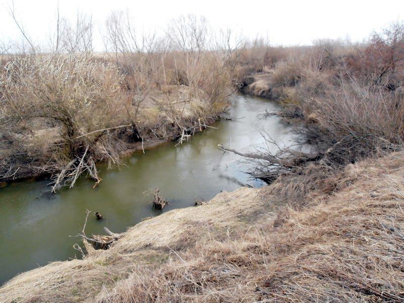 Гостинцеве з panoramio.com - Гостинцеве