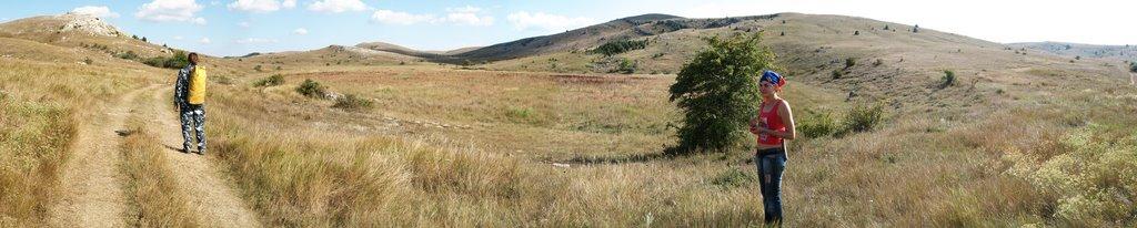 Пчолине з panoramio.com - Пчелиное