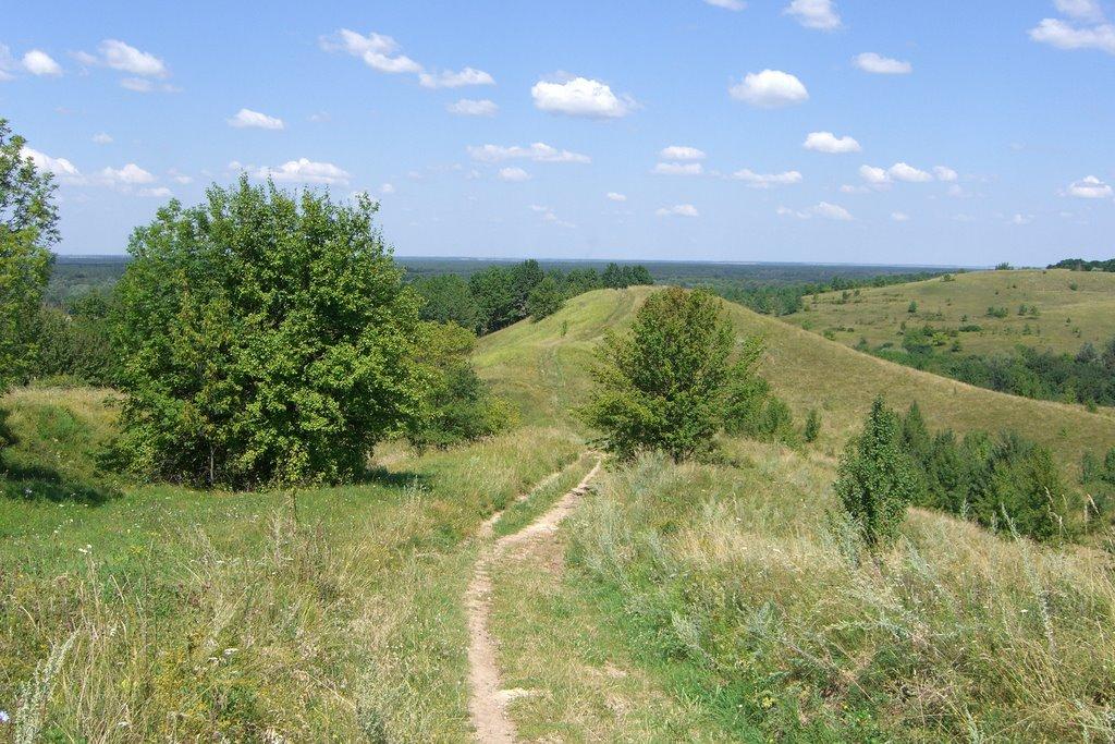 Шишаки з panoramio.com - Шишаки