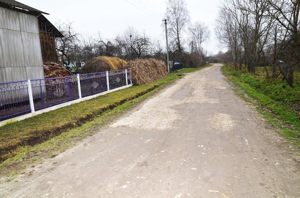 Великий Кунинець з panoramio.com - Великий Кунинець