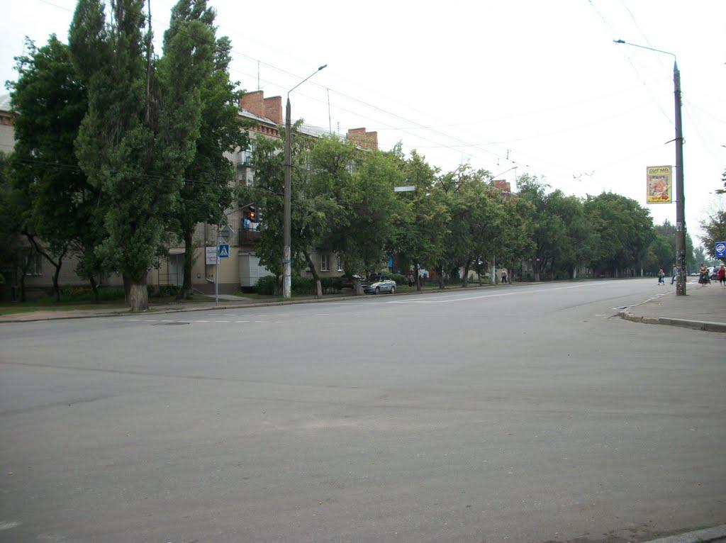 Логачівка з panoramio.com - Логачевка