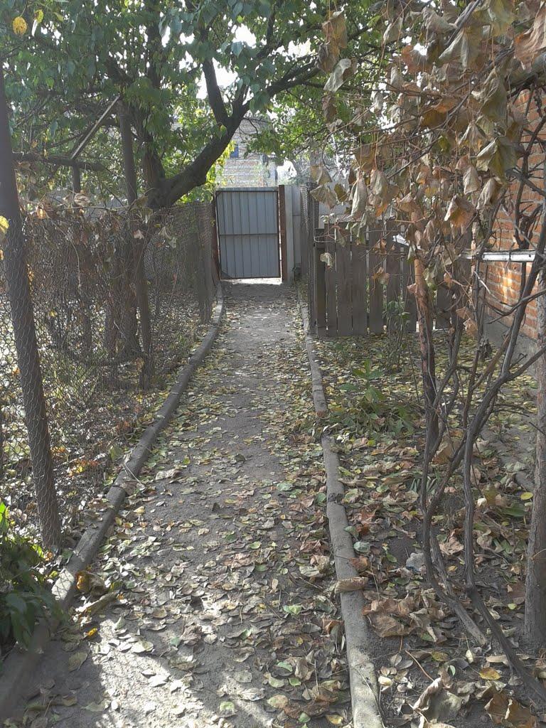 Нова Гребля з panoramio.com - Новая Гребля