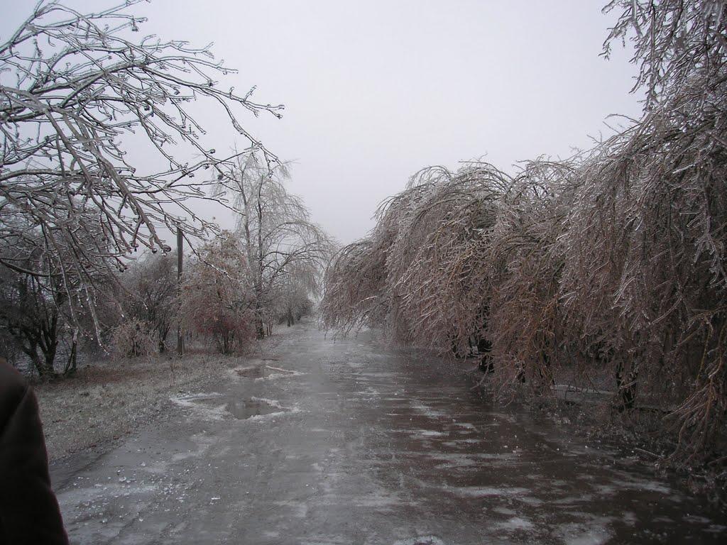 Луполове з panoramio.com - Луполове