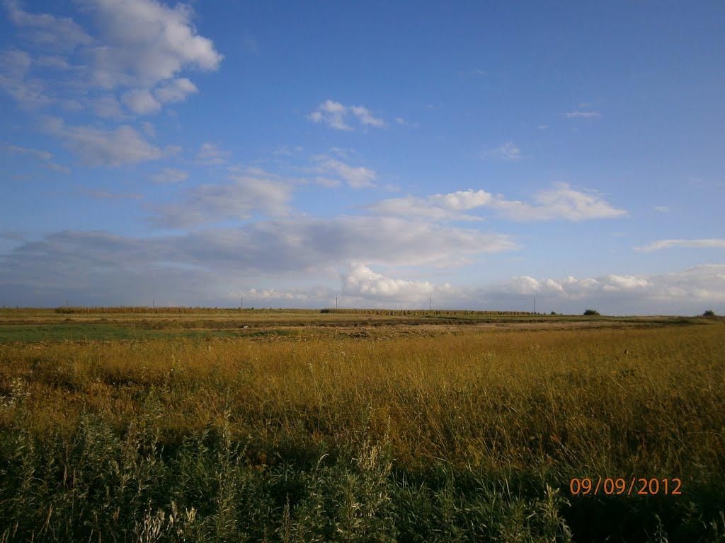 Берездівці з panoramio.com - Берездівці