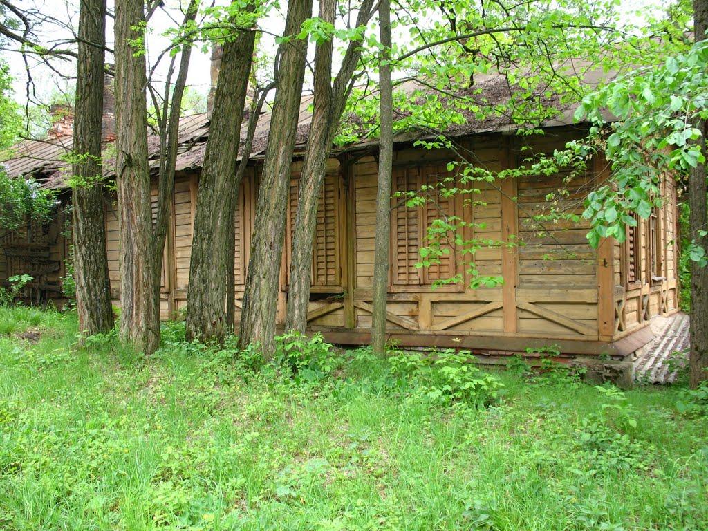 Сорокове з panoramio.com - Сороково