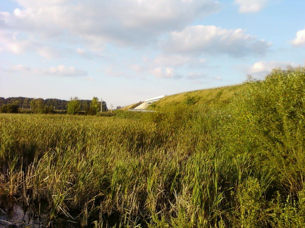 Калинівка Друга з panoramio.com - Калинівка Друга