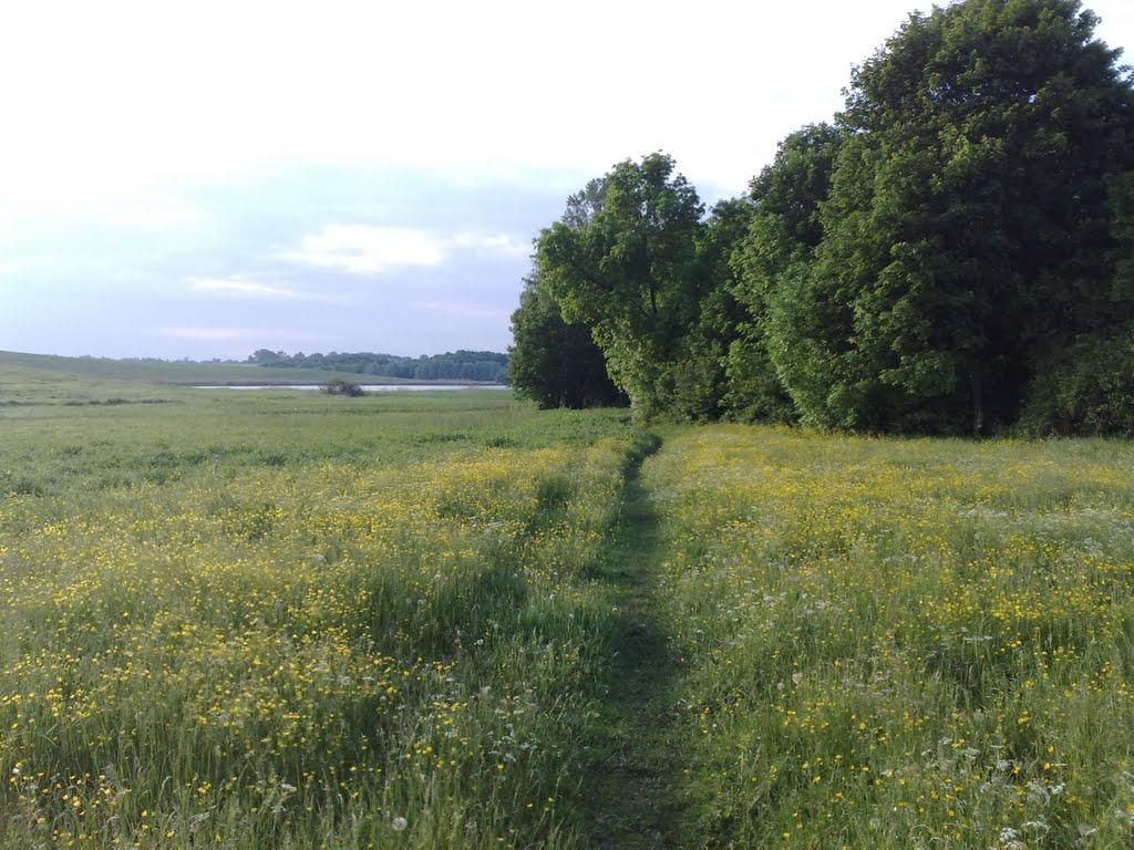 Махаринці з panoramio.com - Махаринцы