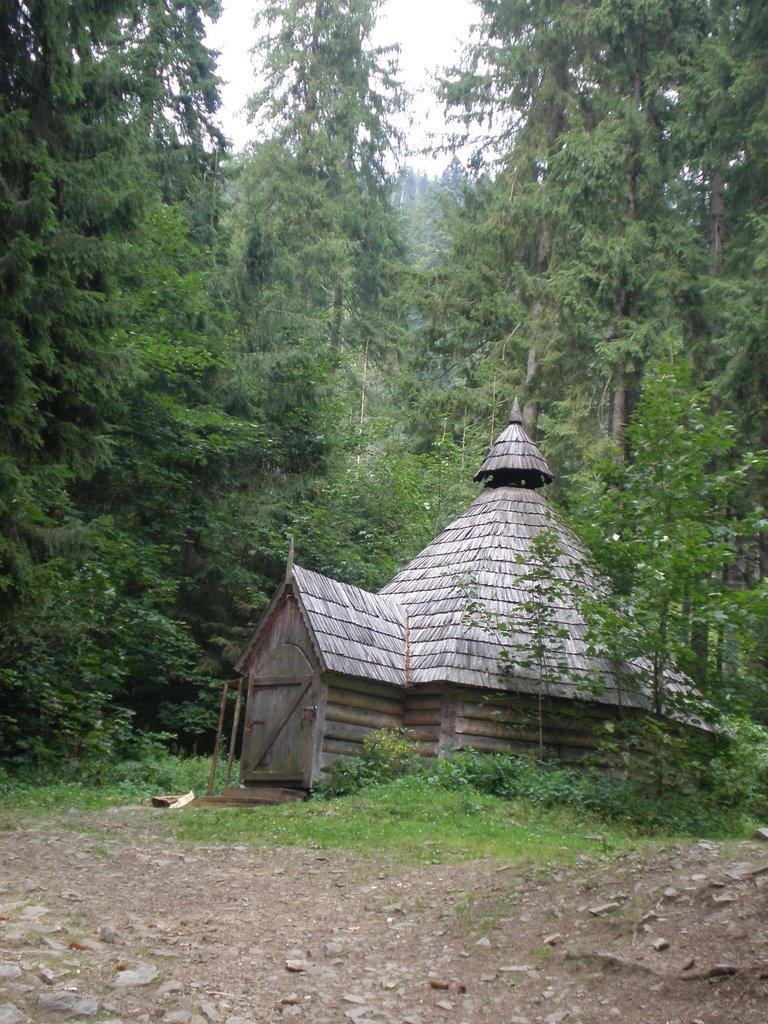 Синевир з panoramio.com - Синевир