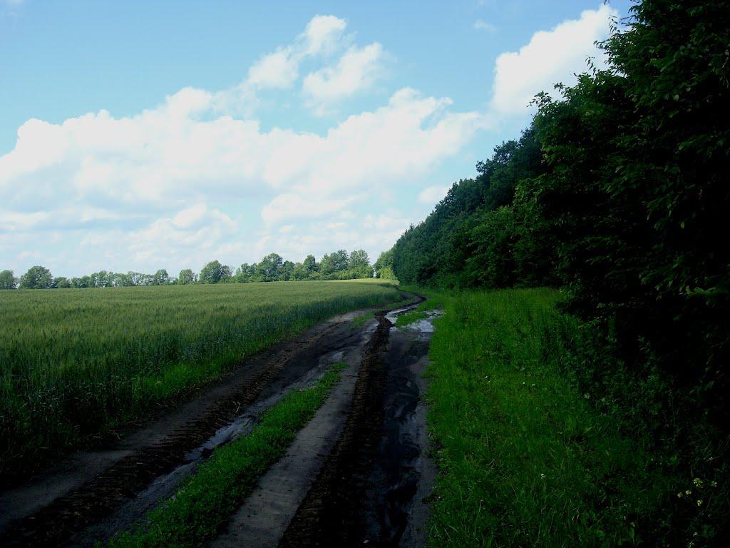 Грузевиця з panoramio.com - Грузевица