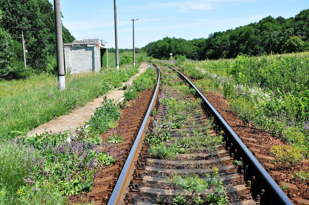 Федосіївка з panoramio.com - Федосіївка