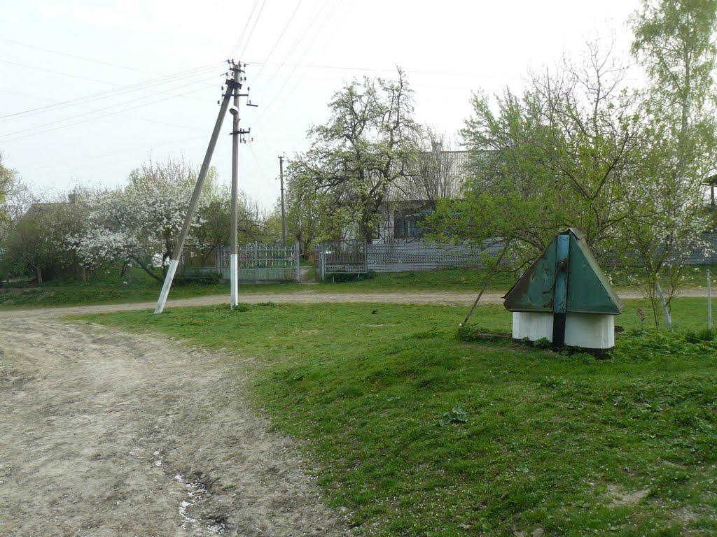 Підлісці з panoramio.com - Подлесцы