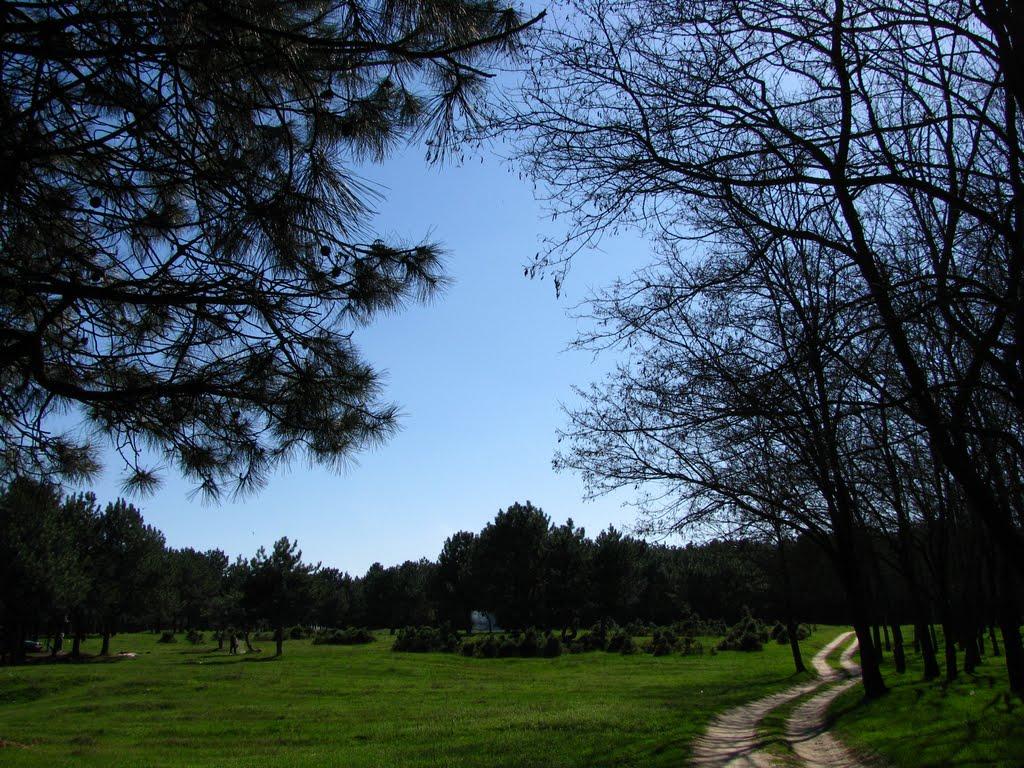 Малокаховка з panoramio.com - Малокаховка