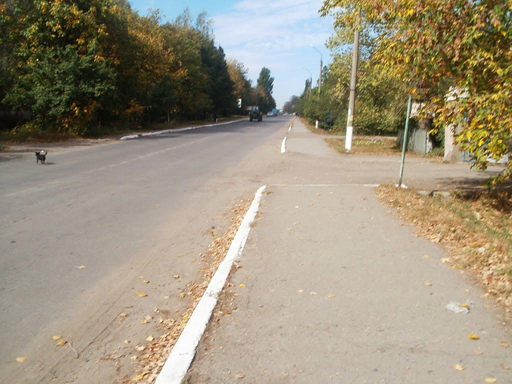 Теплик з panoramio.com - Теплик