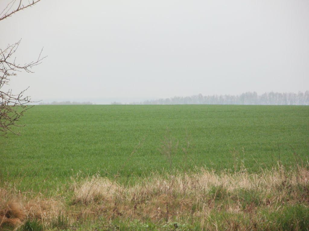 Оратів з panoramio.com - Оратів