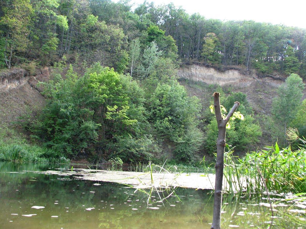 Комарівка з panoramio.com - Комарівка