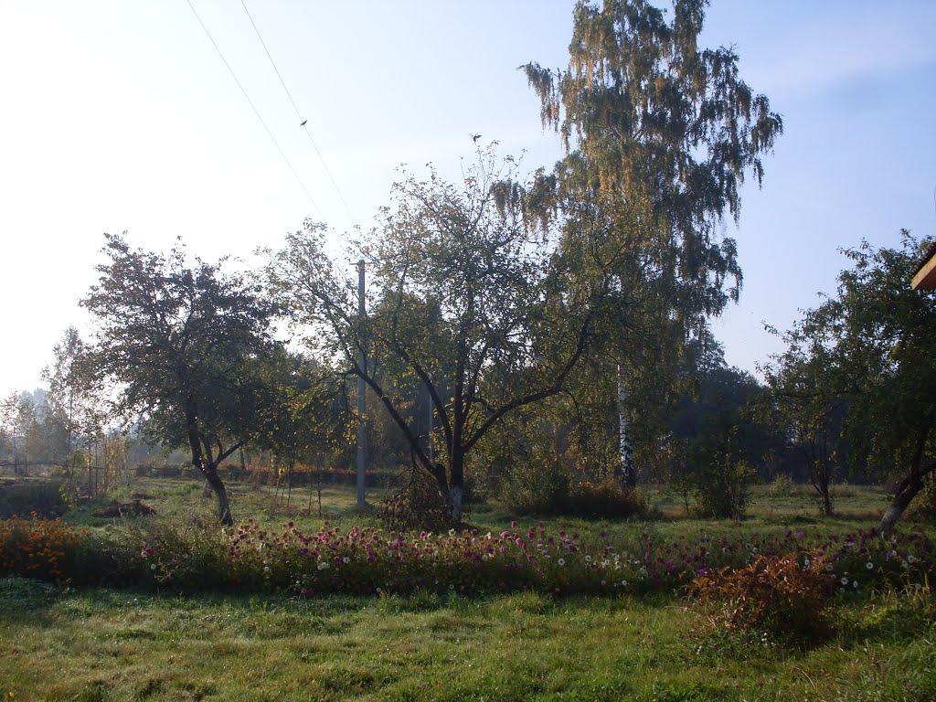 Тур з panoramio.com - Тур