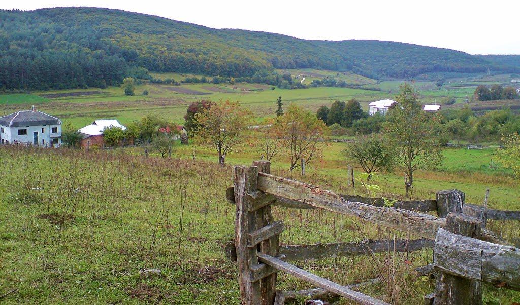 Рогачин з panoramio.com - Rogachyn