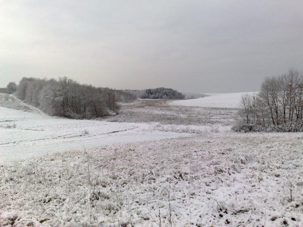 Махаринці з panoramio.com - Махаринцы