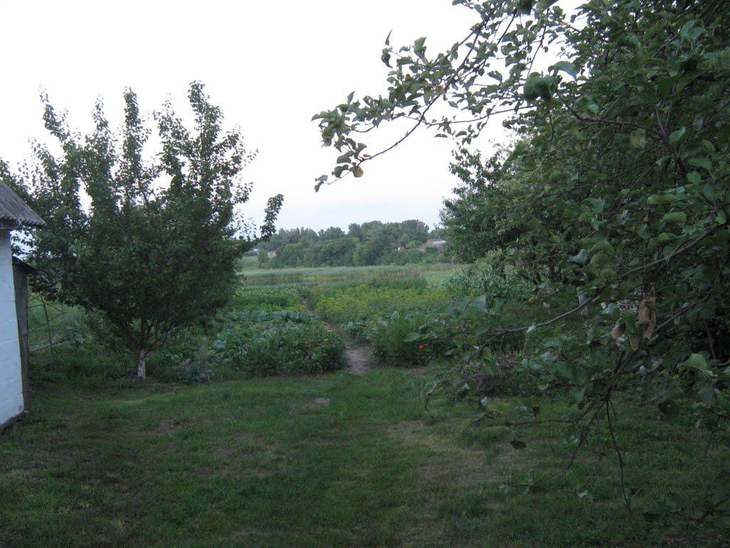 Пінчуки з panoramio.com - Пінчуки