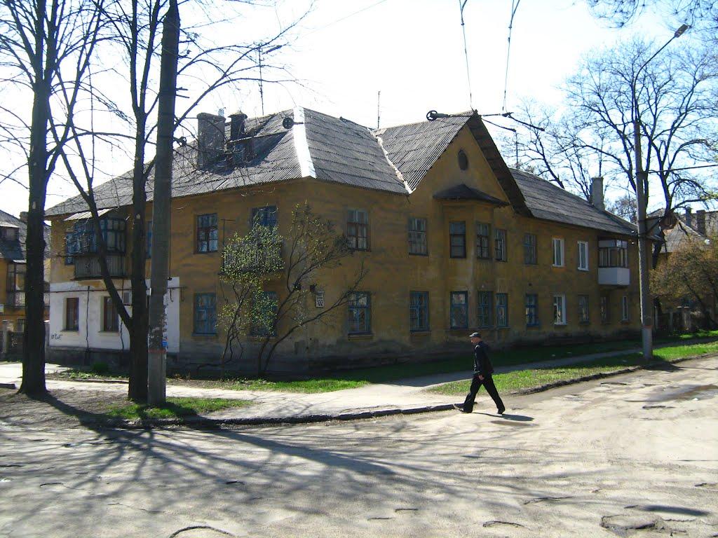 Кам'яне Поле з panoramio.com - Kamyane Pole