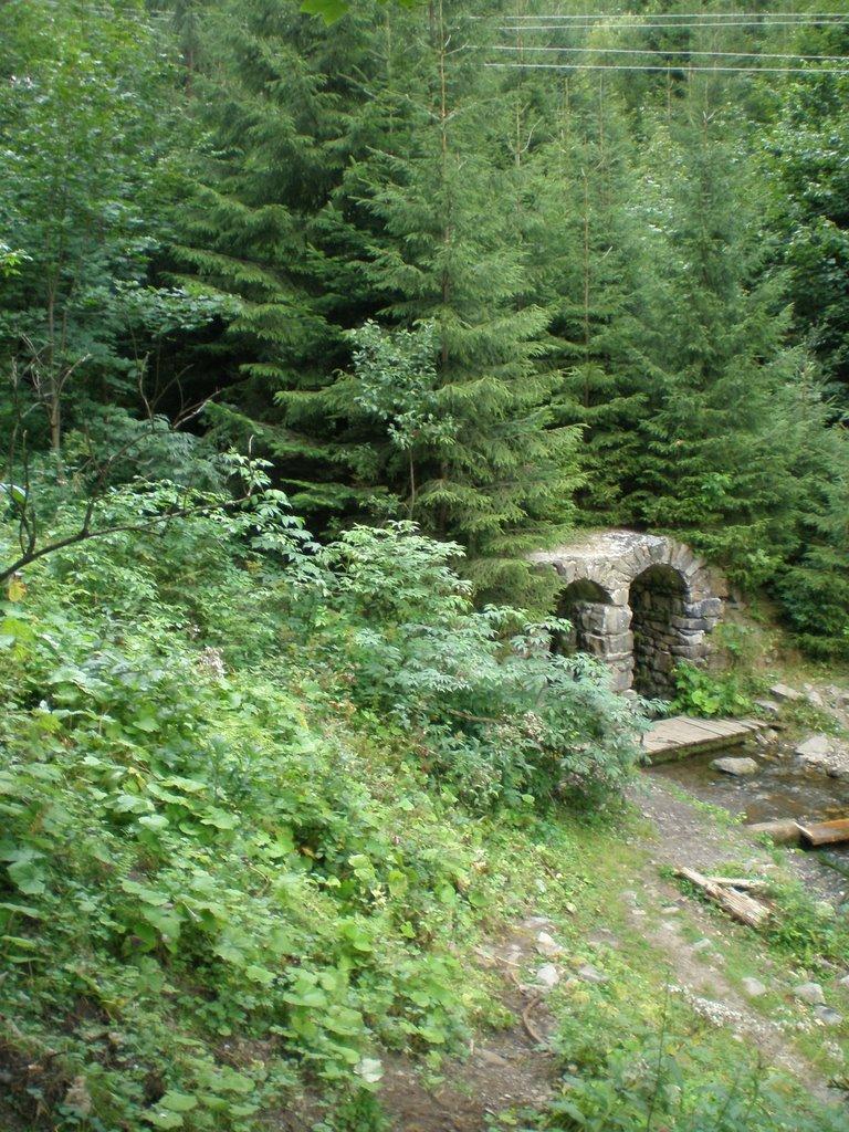 Синевир з panoramio.com - Синевир
