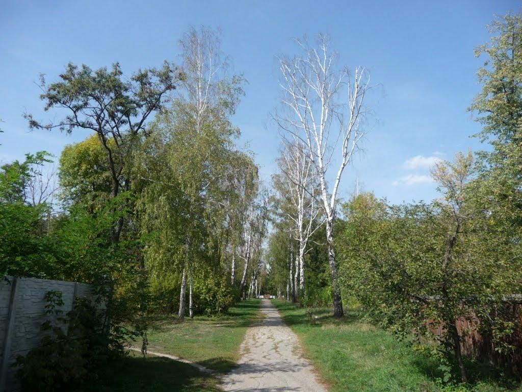 Бабаї з panoramio.com - Бабаи