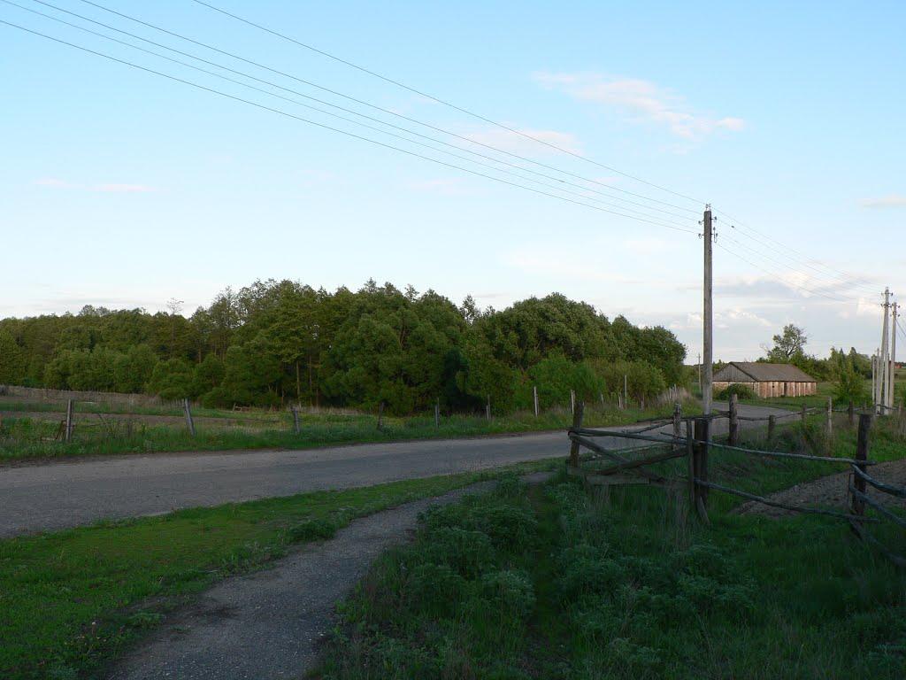 Ближнє з panoramio.com - Ближнє